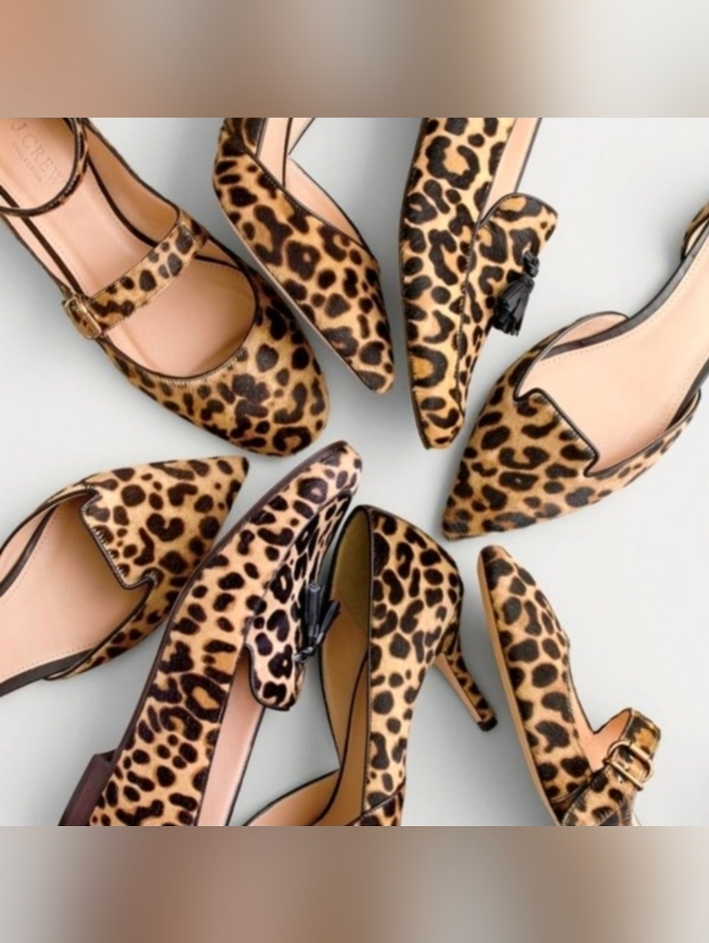 J.Crew Layla slingback Mary Jane heels in leopard calf hair 10 - Picture 2 of 16